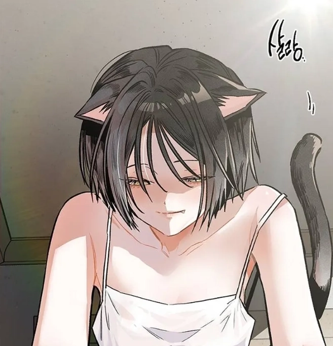 Chapter Cover